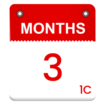 3 Months